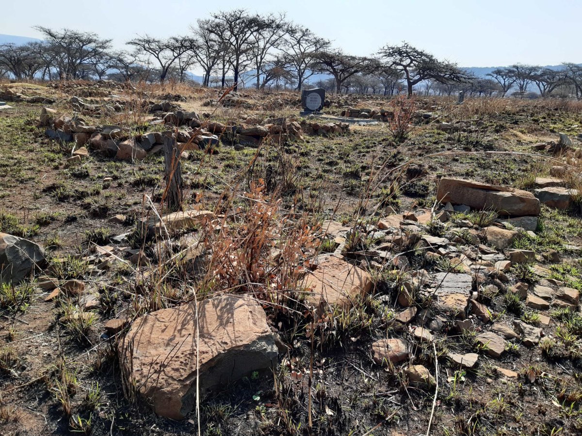 4. Overview / Oorsig