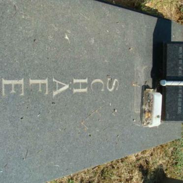 SCHAFER Willem 1915-1992 &amp; Anne 1915-2000