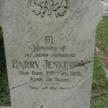 JENKINS0N Harry -1919