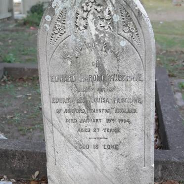 MUSGRAVE Edward Harold -1904