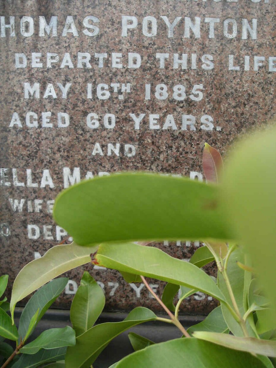 POYNTON Thomas -1885