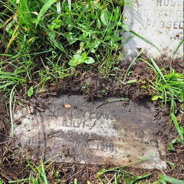 TETLOW L.H. nee SMART -1918