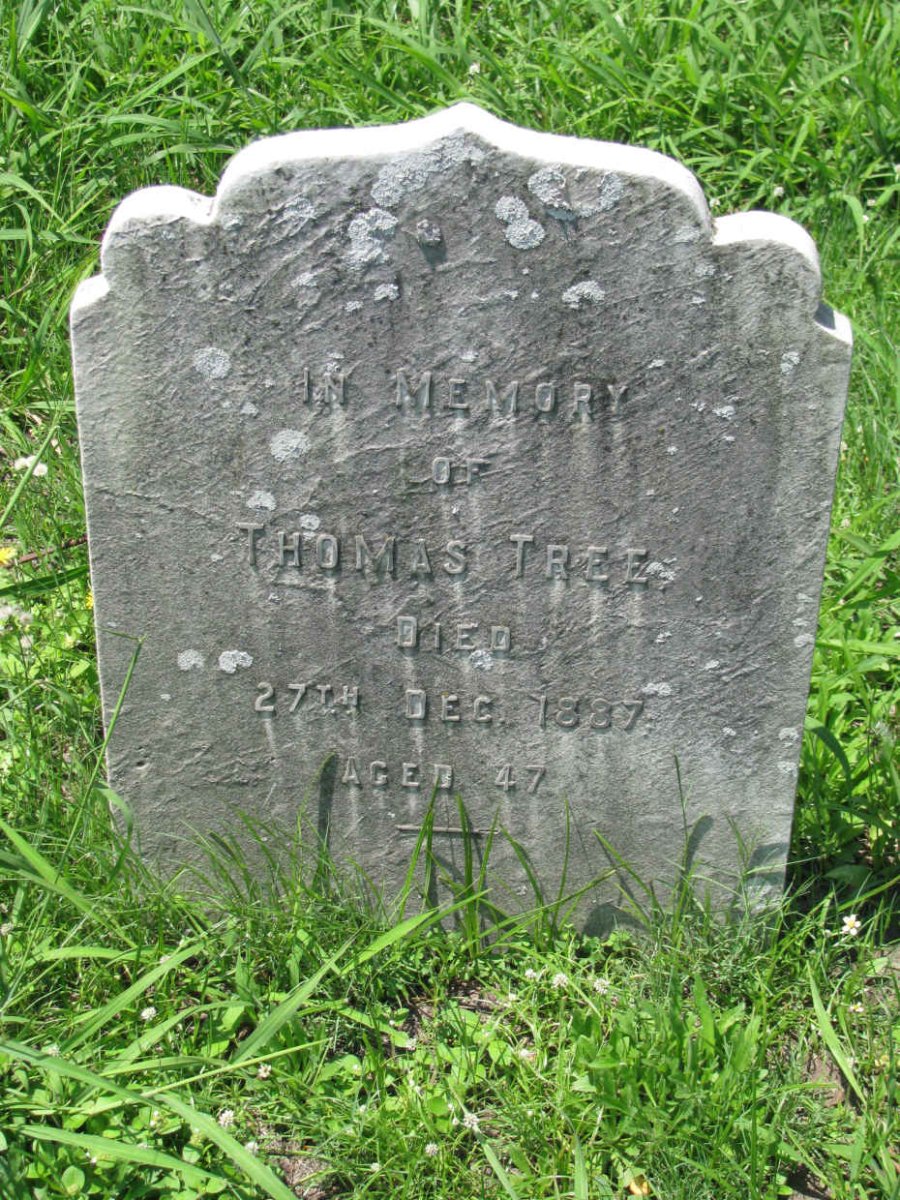TREE Thomas -1887