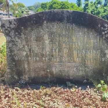 HOSKING Alice M.D. -1950