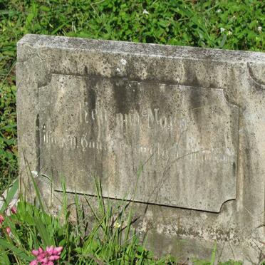 ACUTT Ken &amp; Nora