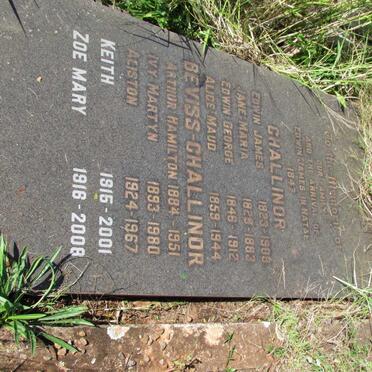 C - Surnames :: Vanne - C