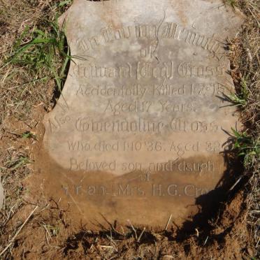 CROSS Gwendoline -1936 :: CROSS Edward -1915