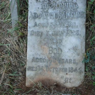 G - Surnames :: Vanne - G