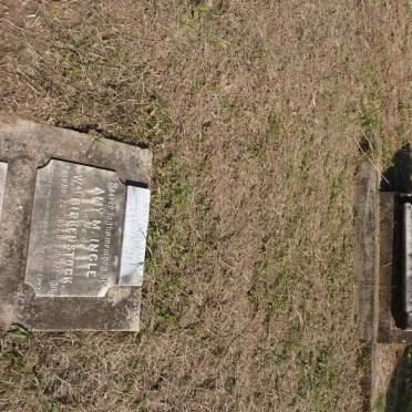 INGLE Mildred Daisy 1888-1926 :: BIRKENSTOCK Amy M. nee INGLE 1883-1916