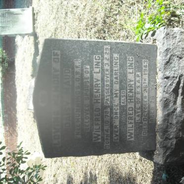 LING Wilfred Henry -1943 &amp; Daisy Maud HUNNINGS 1878-1929