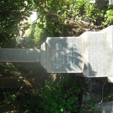 ROSS Alexander Cherrie -1974 :: ROSS Annie -1938 :: ROSS Helena Sarah nee LEE -1918 :: ROSS Archibald -1973