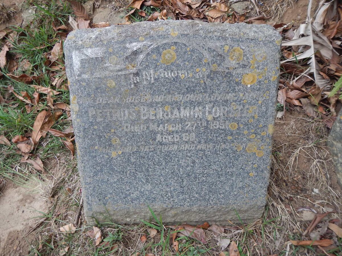 FORSTER Petrus Benjamin -1951