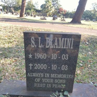 DLAMINI S.L. 1960-2000