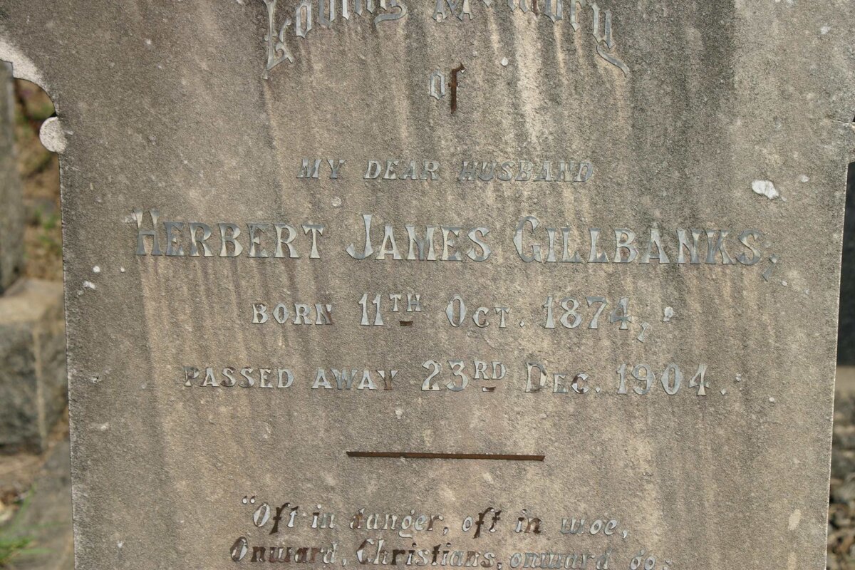 GILLBANKS Herbert James 1874-1904