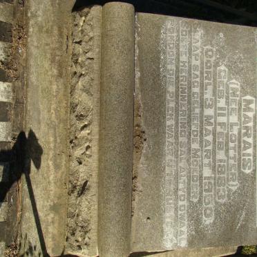 MARAIS Elizabeth Loretta nee LOTTER 1883-1950