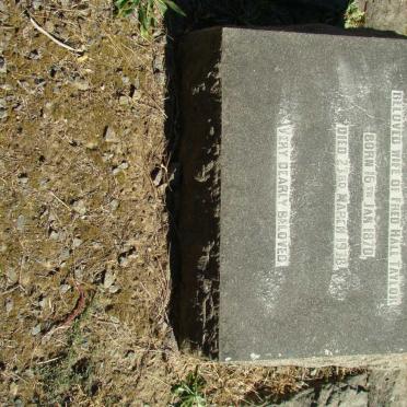 TAYLOR Edith Jane 1870-1938