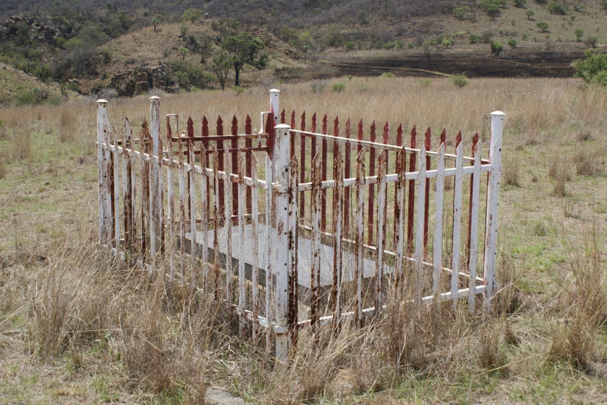 2. Overview / Oorsig