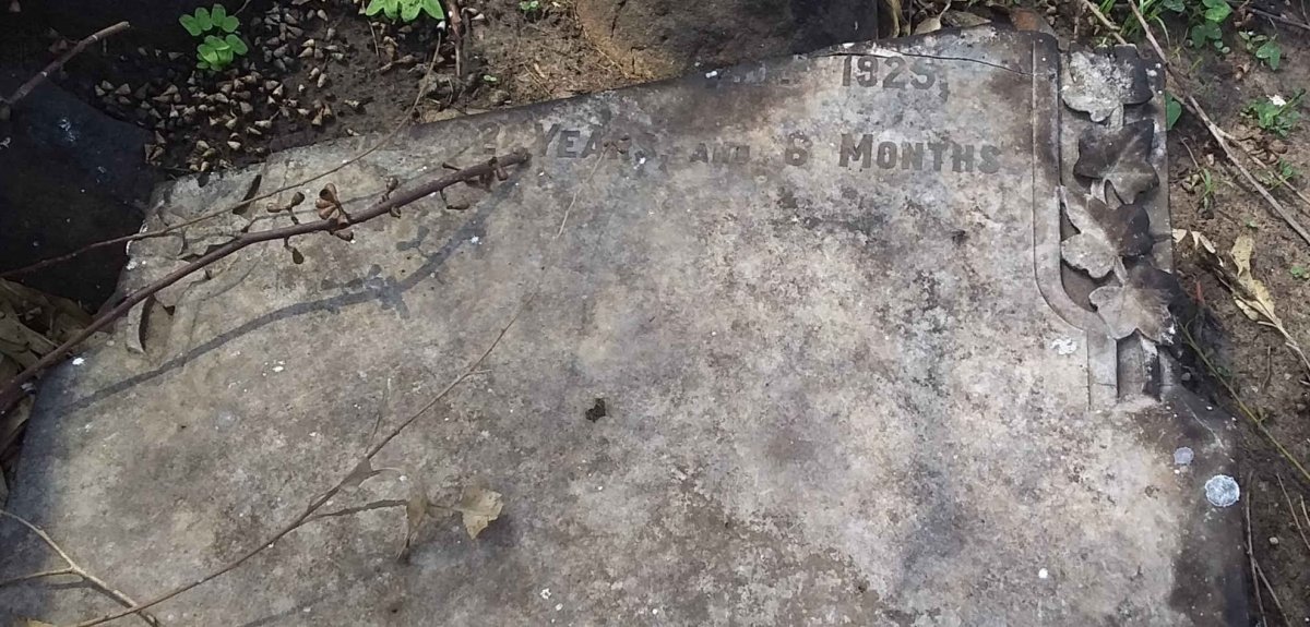 HOWELL James Henry -1924 &amp; Emily Frances -1925