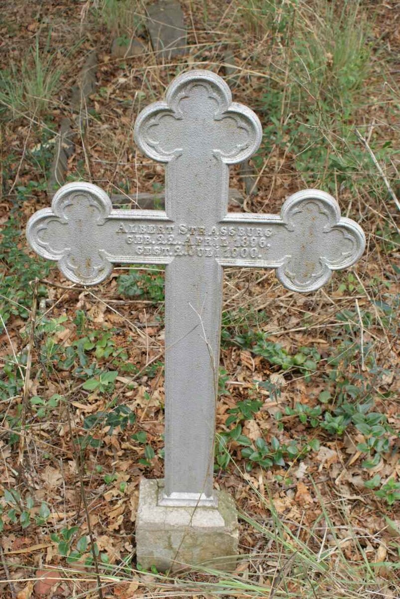 STRASSBURG Albert 1896-1900