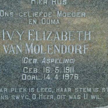 MOLENDORF Ivy Elizabeth, van nee ASPELING 1911-1976