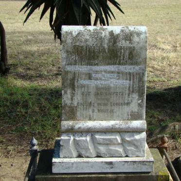 NORTJE Johanna Hermine 1903-1936