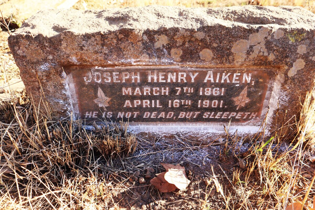 AIKEN Joseph Henry 1861-1901
