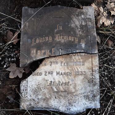 MOORE Mary E.C. 1860-1933