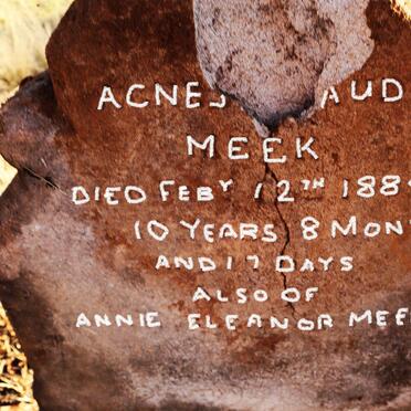 MEEK Agnes Maud -1884 :: MEEK Annie Eleanor -1884 _1