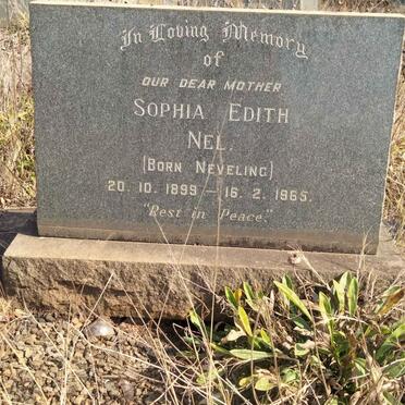 NEL Sophia Edith nee NEETHLING 1899-1965