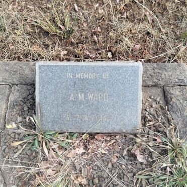 WARD A.M.