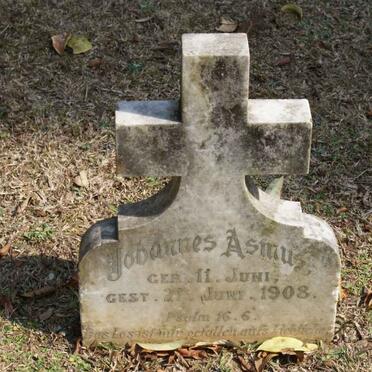 ASMUS Johannes -1908