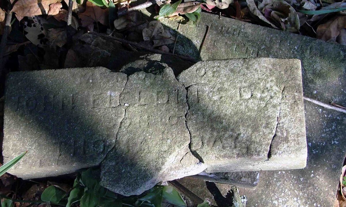 DAY John Fielding 1890-1891