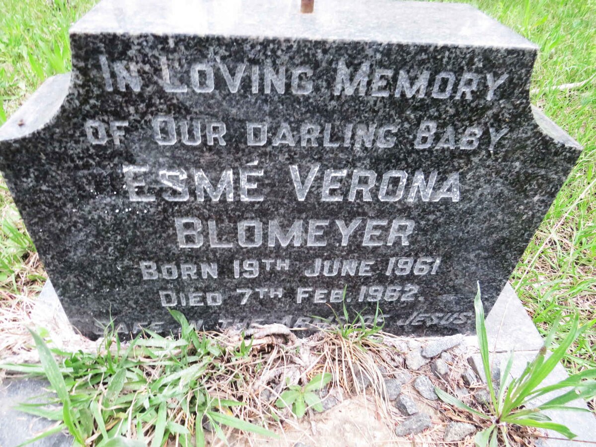 BLOMEYER Esme Verona 1961-1962