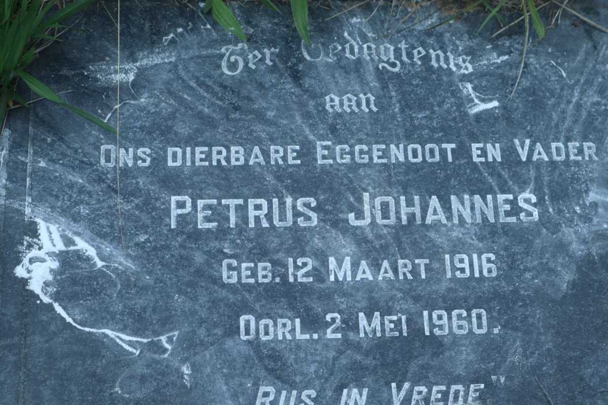 BOTHA Petrus Johannes 1916-1960