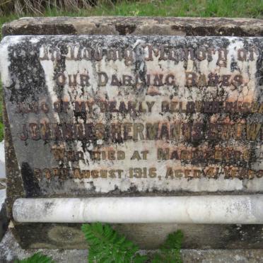 BOWER Johannes Hermanus -1916