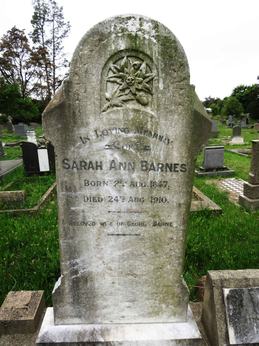 BARNES Sarah Ann 1847-1910