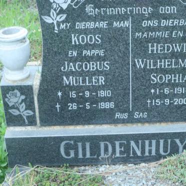 GILDENHUYS Jacobus Muller 1910-1986 &amp; Hedwig Wilhelmina Sophia 1916-2004