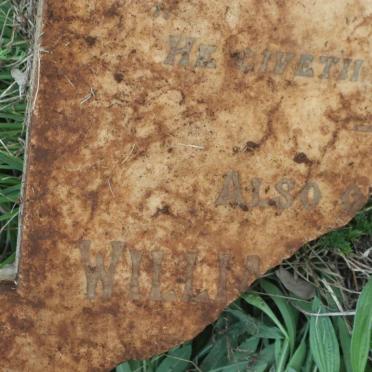 LEONARD William Weston -1902 &amp; Susan -189?