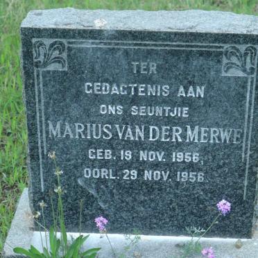 MERWE Marius, van der 1956-1956