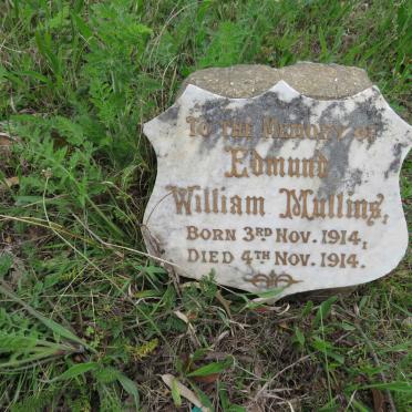 MULLINS Edmund William 1914-1914