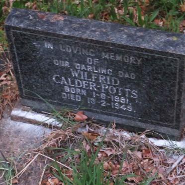 POTTS Wilfred, CALDER 1881-1949