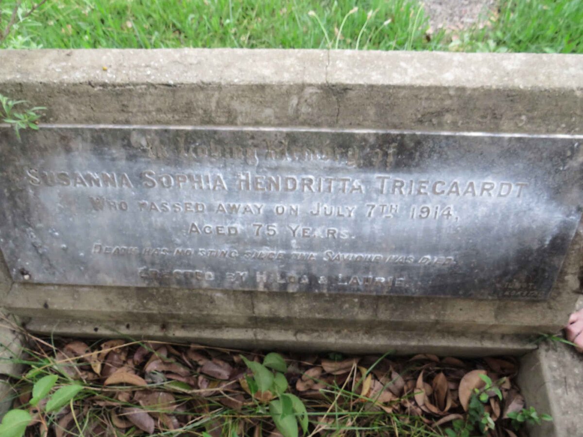TRIEGAARDT Susanna Sophia Hendritta -1914
