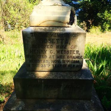 WEBSTER Rosetta -1898