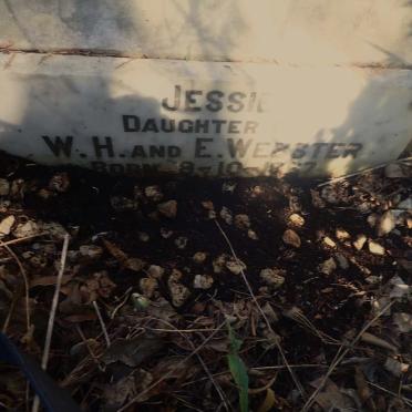 WEBSTER Jessie 1867-?