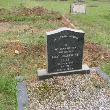 LUKE Lily Josephine -1972