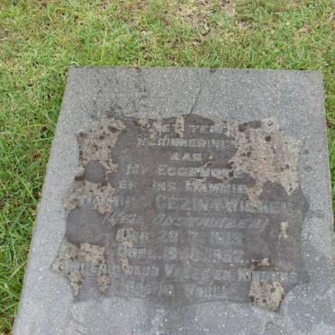 WILKER Leonora Gezina nee OOSTHUIZEN 1915-1952