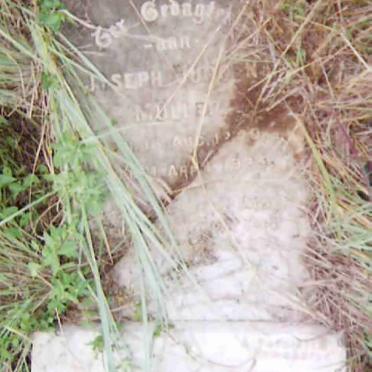 MÜLLER Joseph Jurgen 1840-1925