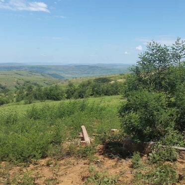 1. Overview / Oorsig