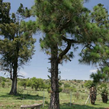 02. Overview of bench with commemorative plaques