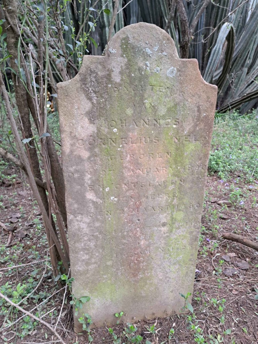 NEL Johannes Cornelius 1880-1880